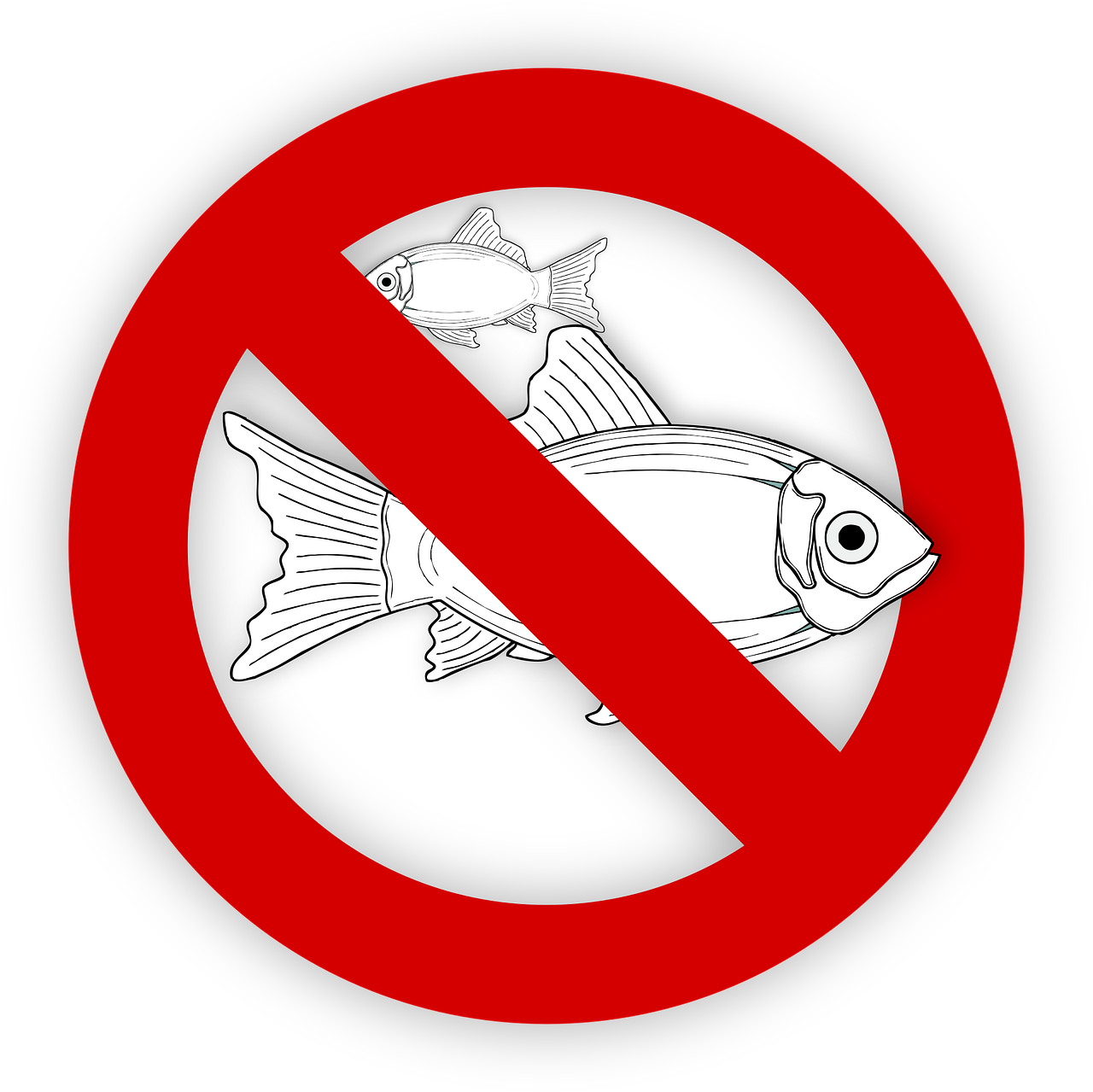 pixabay-995050-474.png